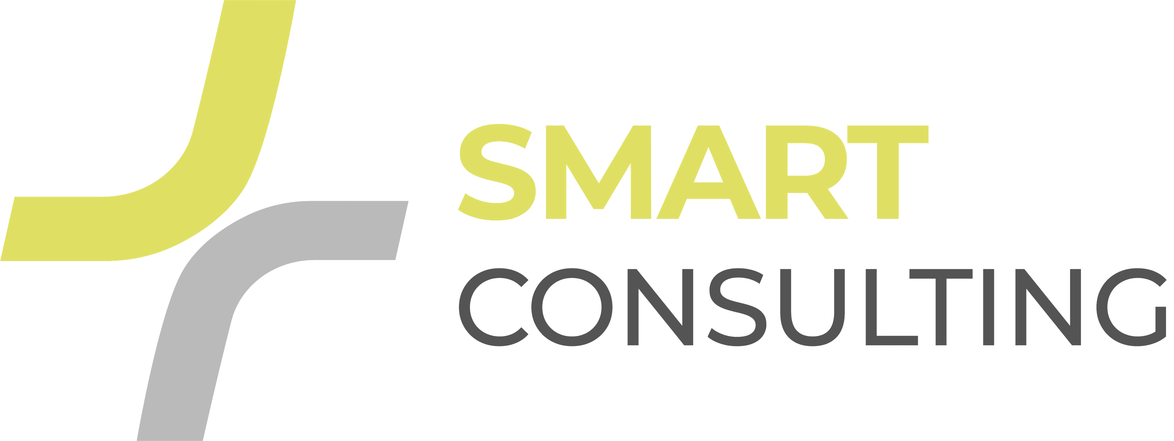 Smart Consulting